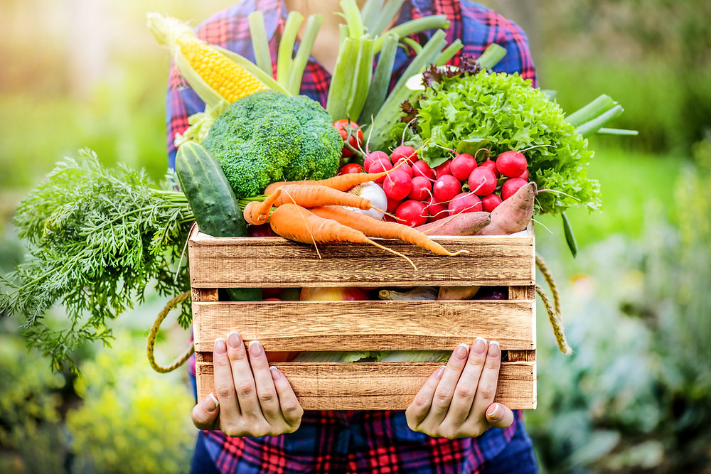 The Importance of Eating Organic Produce